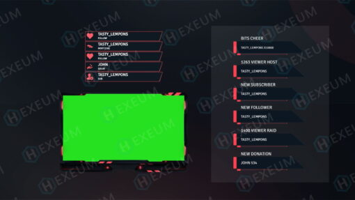 valorant webcam overlay