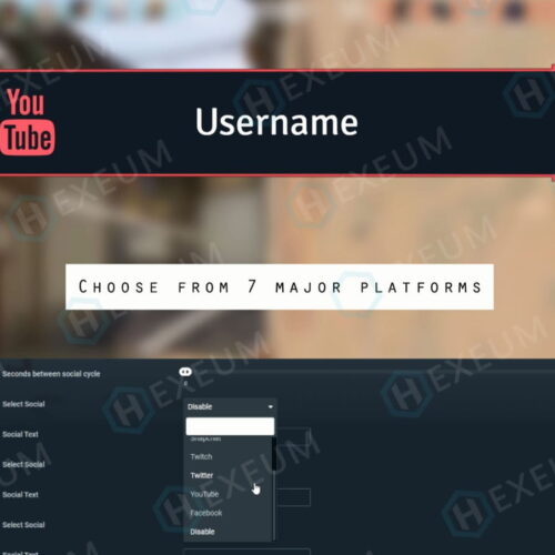 customization lower thirds
