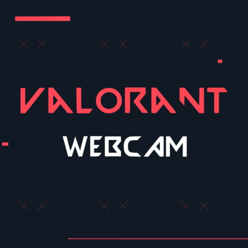 Valorant Webcam