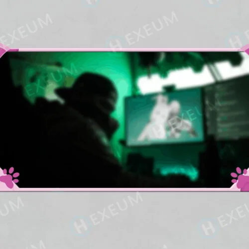 cat webcam overlay