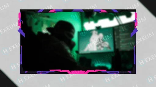 pixel webcam overlay