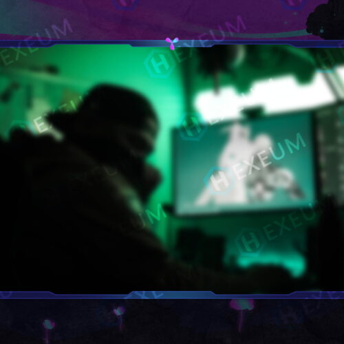 fantasy webcam overlay