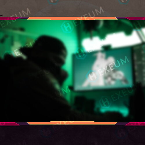 rust webcam overlay