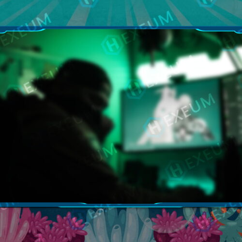 underwater webcam overlay