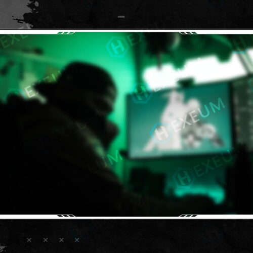black and white webcam overlay