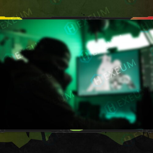 reggae webcam overlay