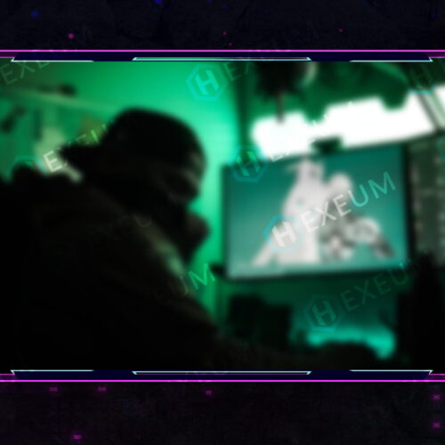 neon webcam overlay