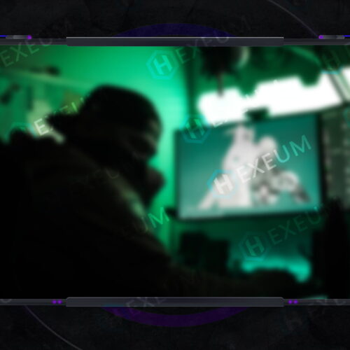 Modern Webcam Overlay