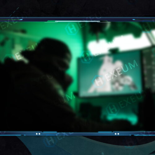 Vibrant Webcam Overlay