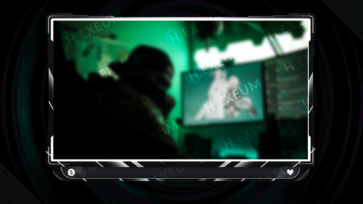 Minimalist Webcam Overlay
