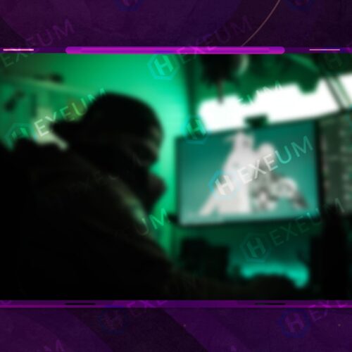 Vibrant Webcam Overlay