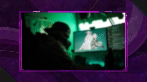 Vibrant Webcam Overlay