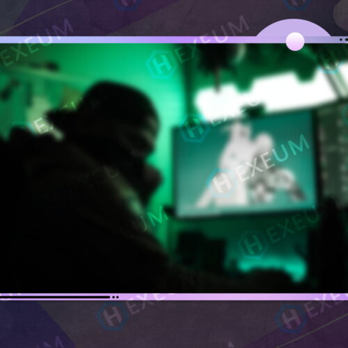 Dreamy Pink Webcam Overlay