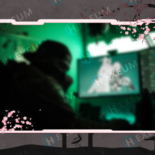 Japanese Webcam Overlay