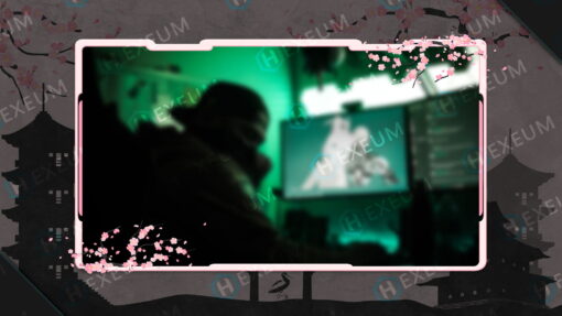 Japanese Webcam Overlay