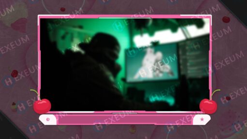 Dessert Webcam Overlay