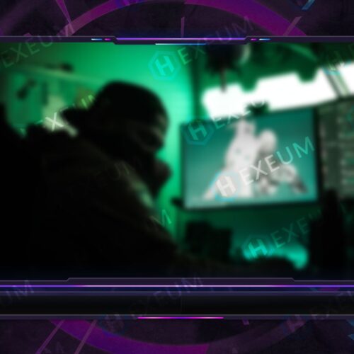 Neon Webcam Overlay