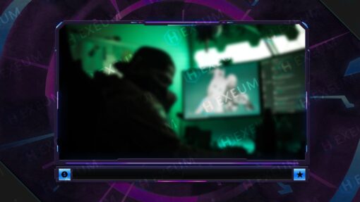 Neon Webcam Overlay