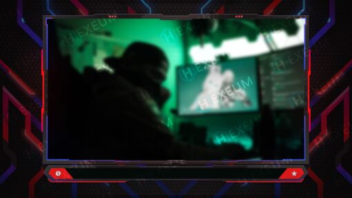 Neon Webcam Overlay