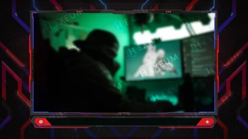 Neon Webcam Overlay