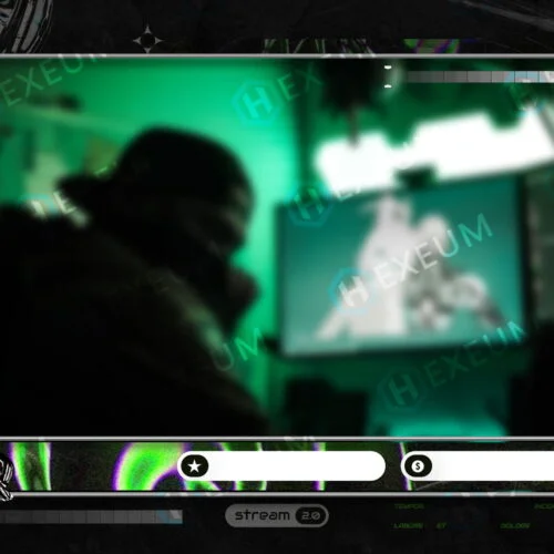 Neon Webcam Overlay