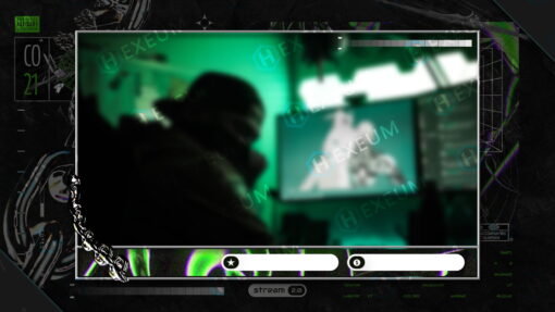 Neon Webcam Overlay