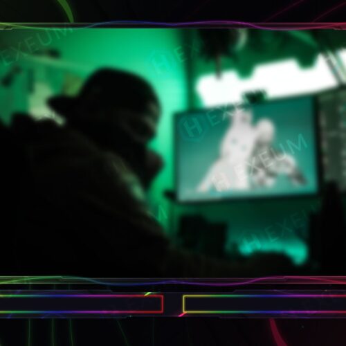 Neon Webcam Overlay