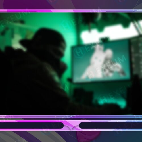 Cute Webcam Overlay