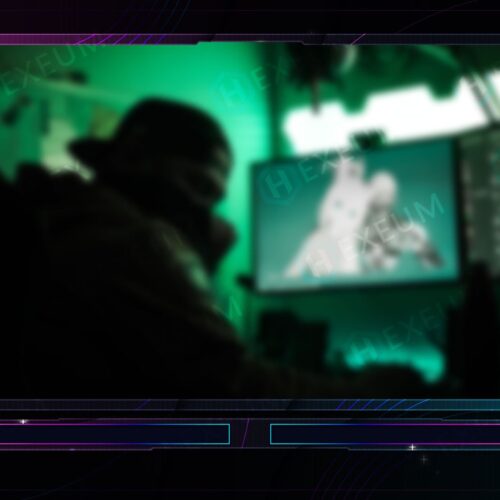 Neon Webcam Overlay