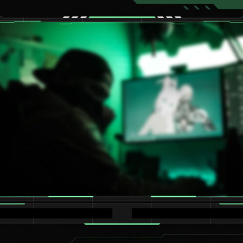 Mint Green Webcam Overlay