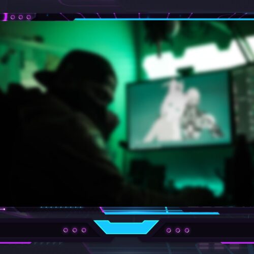 Circuit Webcam Overlay